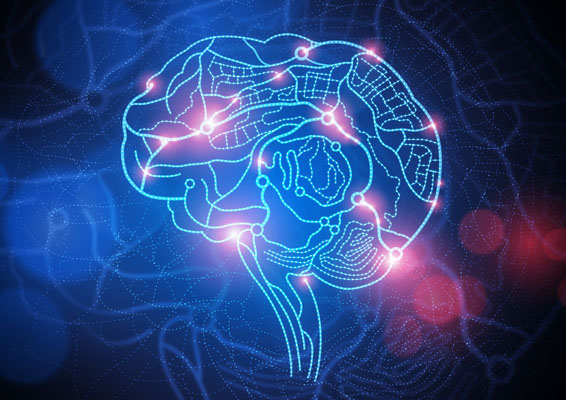 Neuroeducación - AGMU | Educación Continua